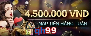 qh99